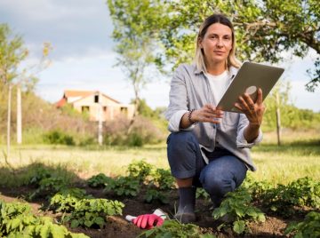 Técnico em Agricultura