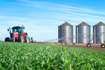 Técnico em Agroindustrial
